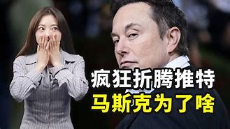 特威克佛伊要挑战布里斯托罗斯，弹琴不任